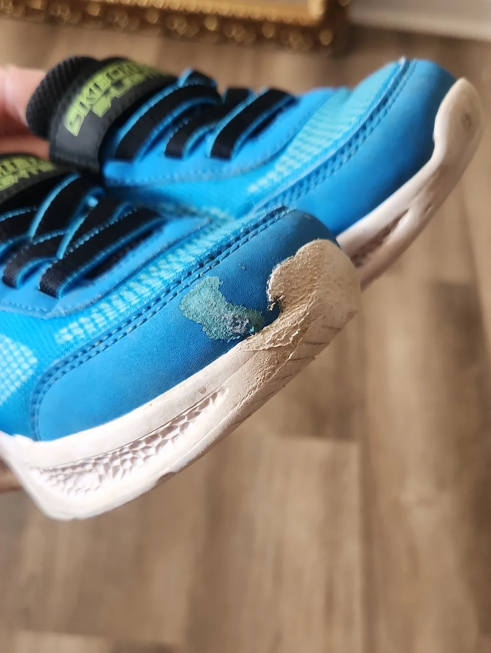 Light Up Blue Sketchers